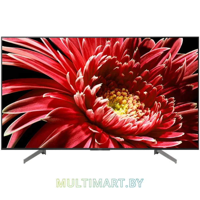 Телевизор Sony KD-65XG8596